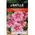 BATLLE SEMILLA DE PETUNIA COMPACTA ROSA PURO