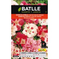 BATLLE GODECIA DOBLE FLOR DE AZALEA VDA