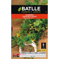 BATLLE SEMILLA DE CILANDRO