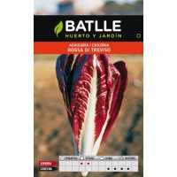BATLLE SEMILLA ACHICORIA ROSSA DI TREVISO