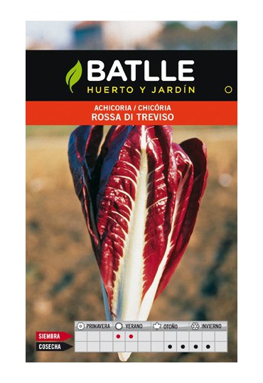 BATLLE SEMILLA ACHICORIA ROSSA DI TREVISO