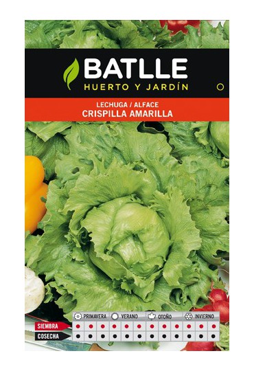 BATLLE LECHUGA CRISPILLA AMARILLA