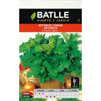 BATLLE SEMILLA ARTEMISA VULGARIS