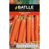 BATLLE SEMILLA ZANAHORIA NANTESA 5 CILINDRO