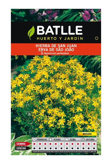 BATLLE SEMILLA HIERBA DE SAN JUAN- HYPERICUM PERFORATUN