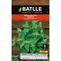 BATLLE SEMILLA DE MENTA DE GATO