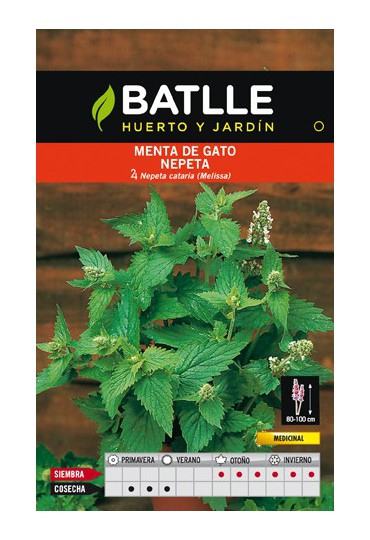 BATLLE SEMILLA DE MENTA DE GATO