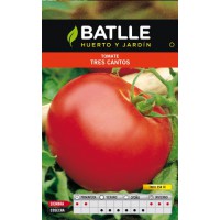 BATLLE TOMATE 3 CANTAS GIGANTE ROSA