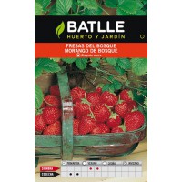 BATLLE SEMILLA DE FRESAS DEL BOSQUE