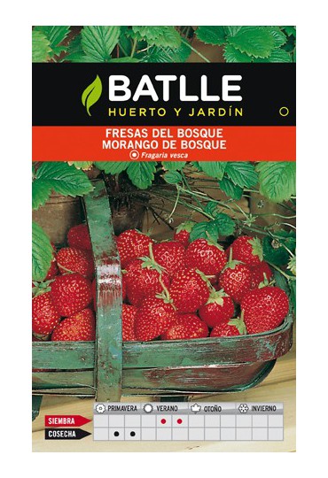 BATLLE SEMILLA DE FRESAS DEL BOSQUE