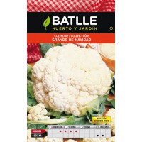 BATLLE COLIFLOR GRANDE NAVIDAD