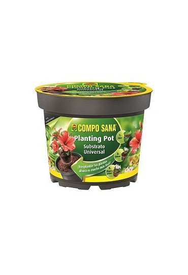 COMPO SANA PLANTING POT 23 CM