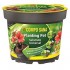 COMPO SANA PLANTING POT 23 CM