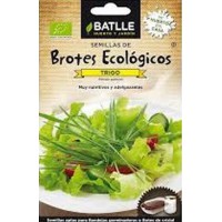BATLLE BROTES  TRIGO - ECO
