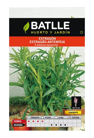 BATLLE SEMILLA DE ESTRAGON