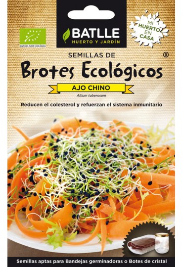 BATLLE BROTES AJO CHINO- ECO