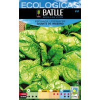 BATLLE ESPINACA GIGANTE DE INVIERNO ECO