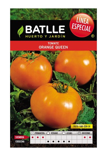 BATLLE TOMATE ORANGE QUEEN