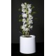 MACETA ORQUIDEA EPIPHYTA M-130 OPACA BLANCA