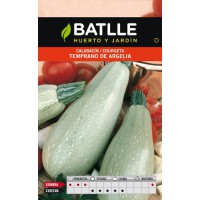 BATLEE SEMILLA DE CALABACIN TEMPRANO DE ARGELIA