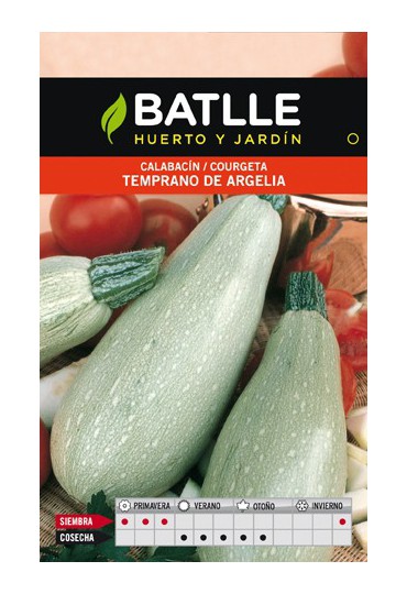 BATLEE SEMILLA DE CALABACIN TEMPRANO DE ARGELIA