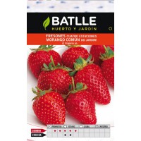 BATLLE SEMILLA DE FRESONES CUATRO ESTACIONES