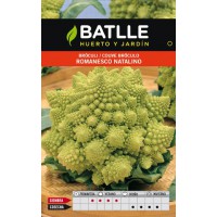 BATLLE SEMILLA ROMANESCO NATALINO