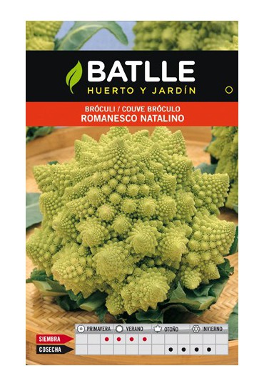 BATLLE SEMILLA ROMANESCO NATALINO