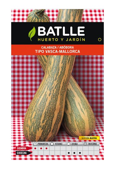 BATLLE SEMILLA CALABAZA TIPO VASCA MARINA