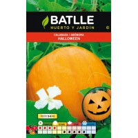BATLLE SEMILLA CALABAZA HALLOWEN