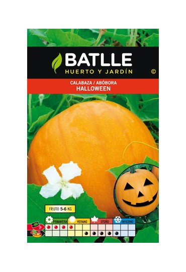 BATLLE SEMILLA CALABAZA HALLOWEN