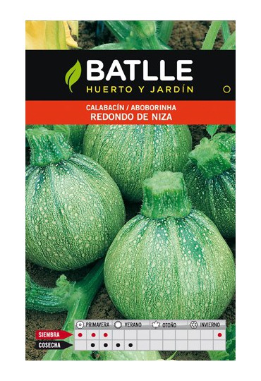 BATLLE SEMILLA CALABACIN REDONDO DE NIZA