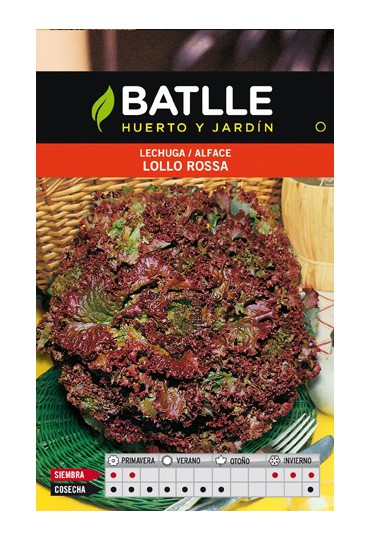 BATLLE SEMILLA DE LECHUGA SALAD BOWL ROJA