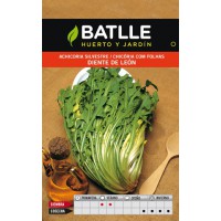 BATLLE SEMILLA ACHICORIA SILVESTRE DIENTE DE LEON