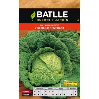 BATLLE SEMILLA COL MILÁN RAPIT