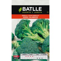 BATTLE BROCULI VERDE CALABRESE