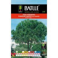 BATLLE PINO PIÑONERO - PINUS PINEA