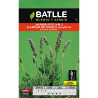 BATLLE SEMILLA DE LAVANDA