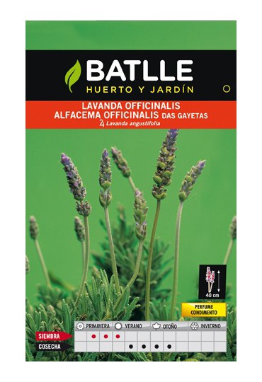 BATLLE SEMILLA DE LAVANDA