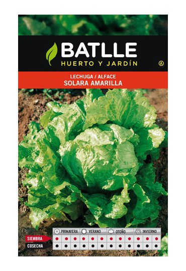 BATLLE SEMILLA DE LECHUGA BATAVIA SOLARA AMARILLA