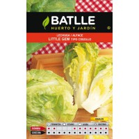 BATLLE LECHUGA LITTLE GEM- COGOLLO