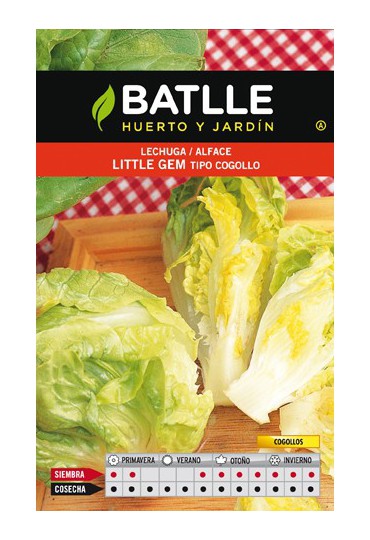 BATLLE LECHUGA LITTLE GEM- COGOLLO