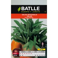 BATLLE SEMILLA DE SALVIA OFINALIS