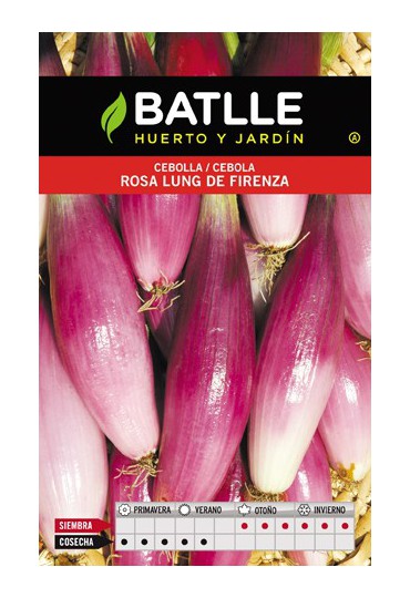 BATLLE CEBOLLA ROSA LUNG FIRENZA