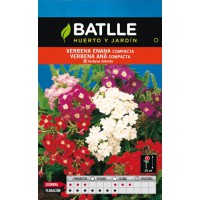 BATLLE SEMILLA BERBENA ENANA COMPACTA