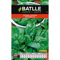 BATLLE SEMILLA DE ESPINACA BUTTERFLAY