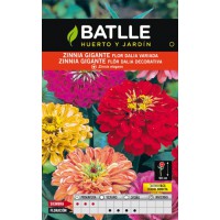 BATLLE SEMILLA  ZINNIA GIGANTE FLOR DALIA
