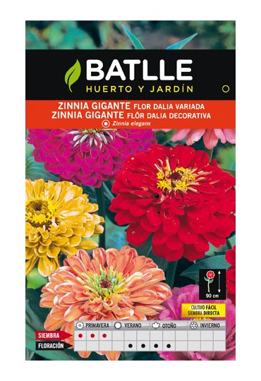 BATLLE SEMILLA  ZINNIA GIGANTE FLOR DALIA