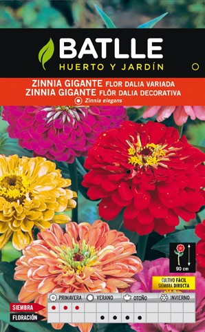 Semillas flores BATLLE SEMILLA ZINNIA GIGANTE FLOR DALIA | Mundo  Verde/Garden Center