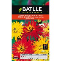 BATLLE SEMILLA DE ZINNIA GIGANTE